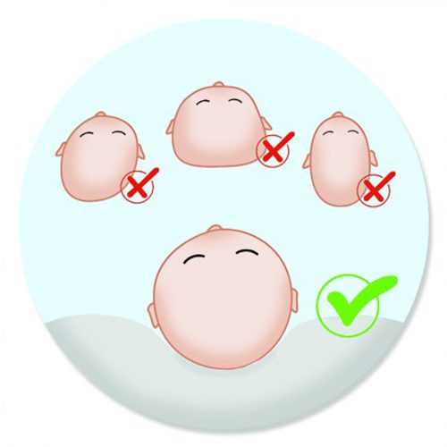 Scamp laposfejûség elleni párna Mouse BLP001